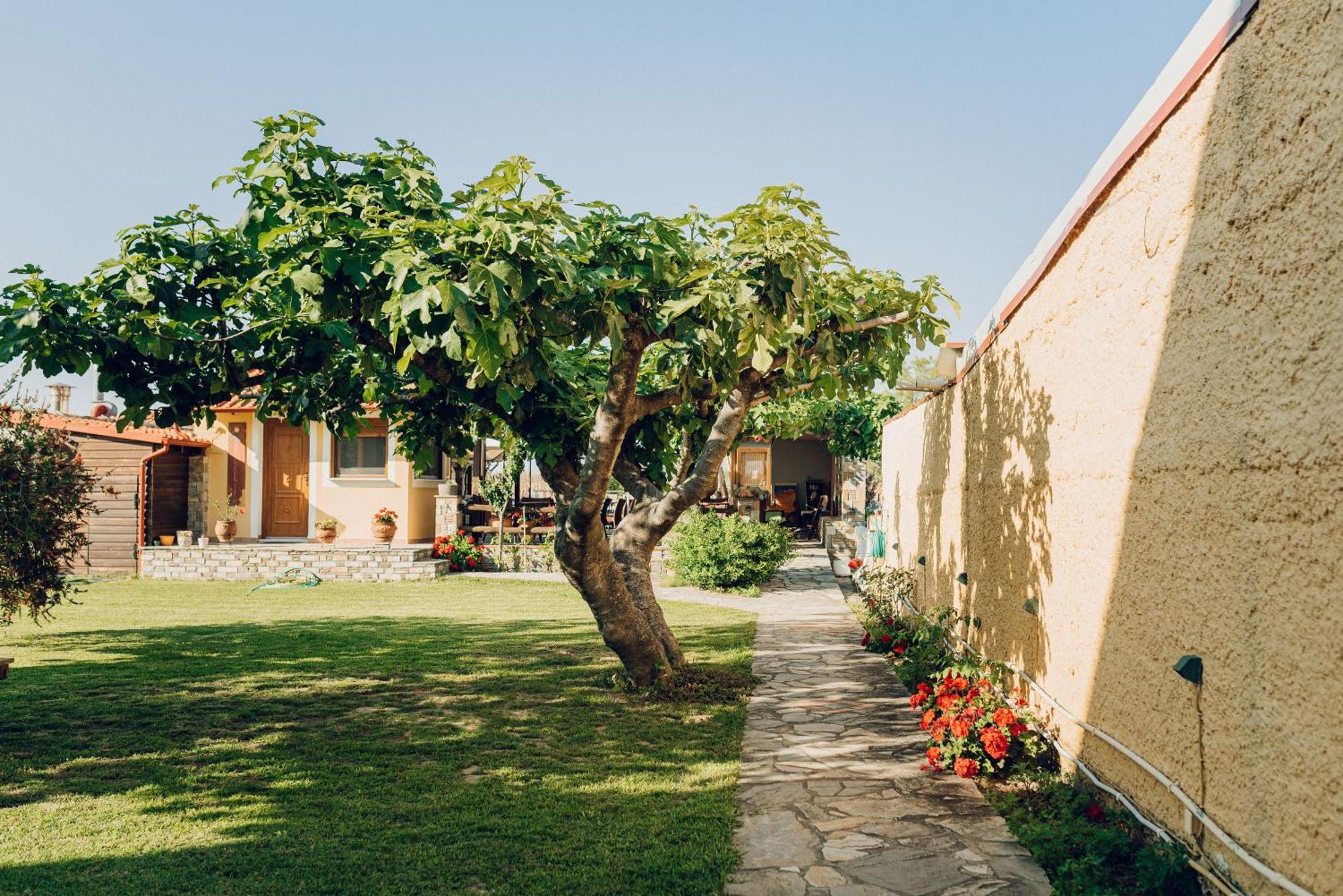 Villa Yianna Apartments Hotel Néa Meságkala Exteriör bild